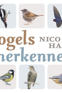 Vogels herkennen: 45 vogelportretten