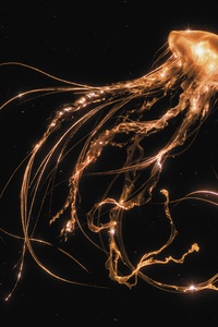 Back To The Water Below (Bonus Edition)