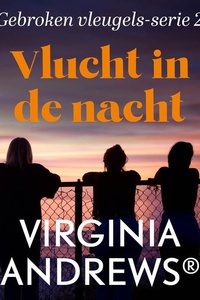 Vlucht in de nacht