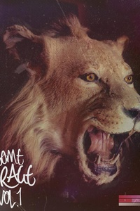 Get Some Courage, Vol.1