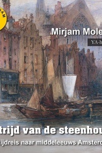 De strijd van de steenhouwer