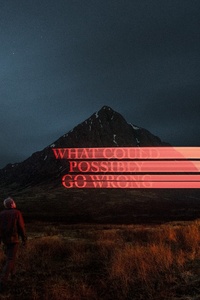 What Could Possibly Go Wrong