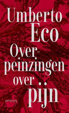 Overpeinzingen over pijn