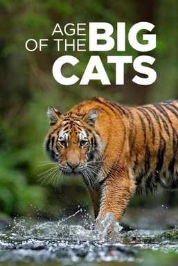 Age Of The Big Cats