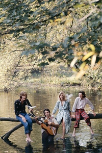 Wild Life (Archive Collection)