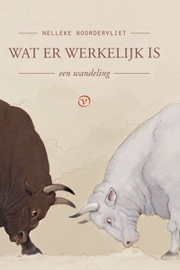 Wat er werkelijk is