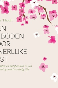 Tien geboden voor innerlijke rust: Onthaasten en ontspannen in een samenleving met te weinig tijd