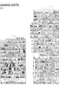 Big Dreaming Ants