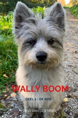 Wally Boom