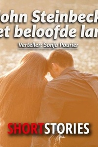 Tien verhalen uit Het beloofde land