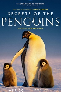 Secrets of the Penguins