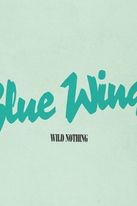 Blue Wings