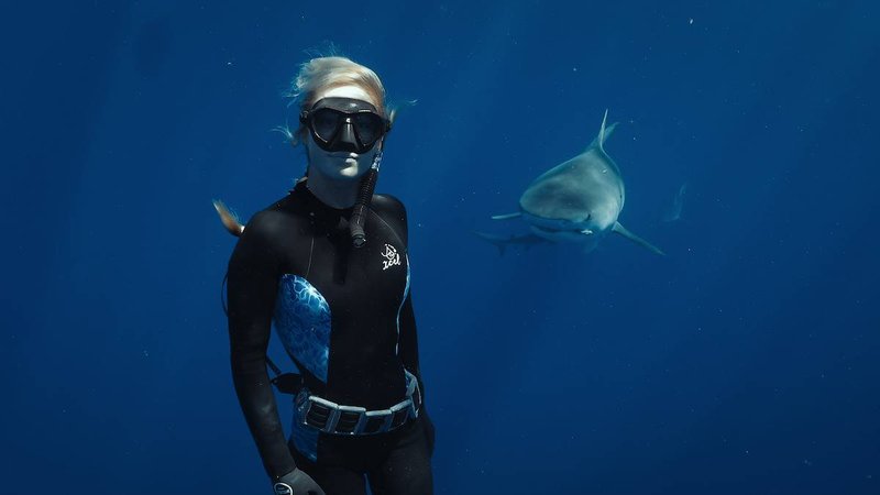 Shark Whisperer review - adembenemend, maar meer show dan inhoud? Dit vinden de experts