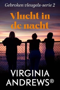 Vlucht in de nacht
