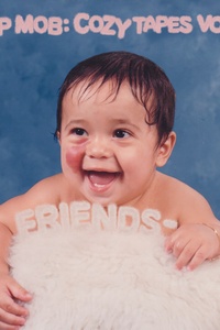 Cozy Tapes: Vol. 1 Friends -