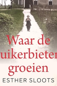Waar de suikerbieten groeien