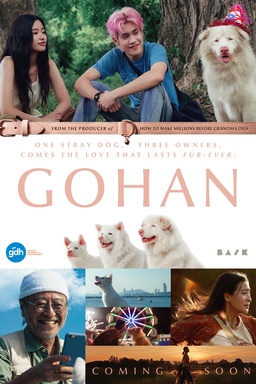 Gohan