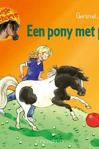 Een pony met pit