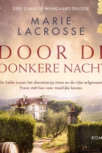 Door de donkere nacht: De liefde tussen het dienstmeisje Irene en de rijke erfgenaam Franz stelt hen voor moeilijke keuzes