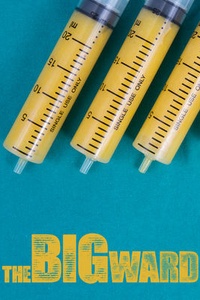 The Big Ward