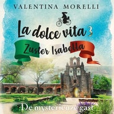 De mysterieuze gast (audiobook)