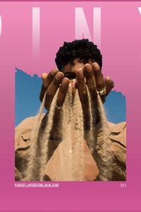 PiNK : Perfect.interesting.new.king