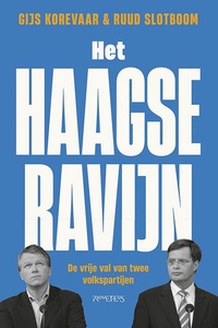 Het Haagse ravijn