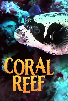 Coral Reef