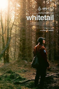 Whitetail