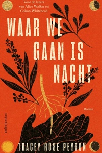 Waar we gaan is nacht