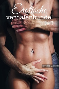 Erotische verhalenbundel 2 - Erotische verhalenbundel