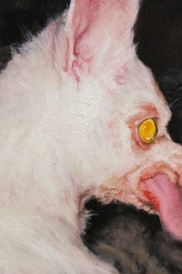 AT LEAST SOMETHING IS PROTECTING YOU