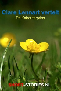 De kabouterprins