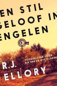 Een stil geloof in engelen