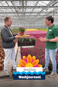 Varend Corso Weekjournaal