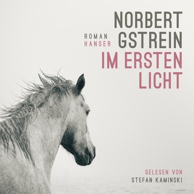 Im ersten Licht: Roman