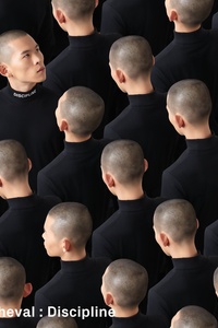 Club cheval: Discipline