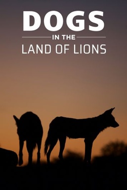 Dogs In The Land Of Lions