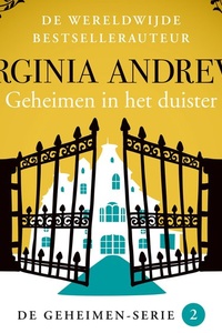 Geheimen in het duister