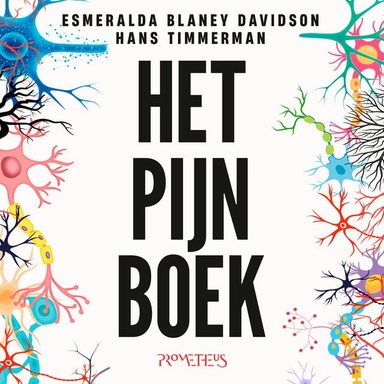 Het Pijn Boek: De wetenschap achter het gevoel dat iedereen kent maar niemand begrijpt
