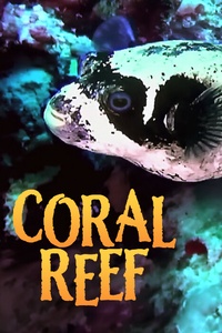 Coral Reef