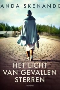 Het licht van gevallen sterren