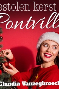 Gestolen kerst in Pontville