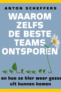 Waarom zelfs de beste teams ontsporen