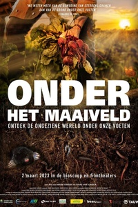 Onder het Maaiveld