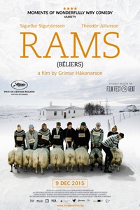 Rams