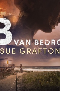 B van bedrog