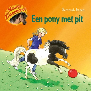 Een pony met pit