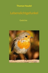Lebenslichtgefunkel: Gedichte