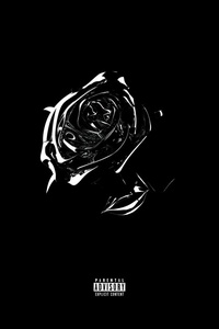 Shoot For The Stars Aim For The Moon